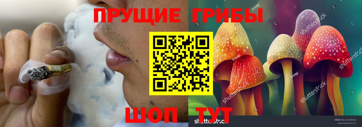 купить наркотик  Вход с VPN  Первоуральск  Псилоцибиновые грибы Magic Shrooms 